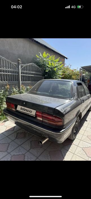 Мютцибици галант