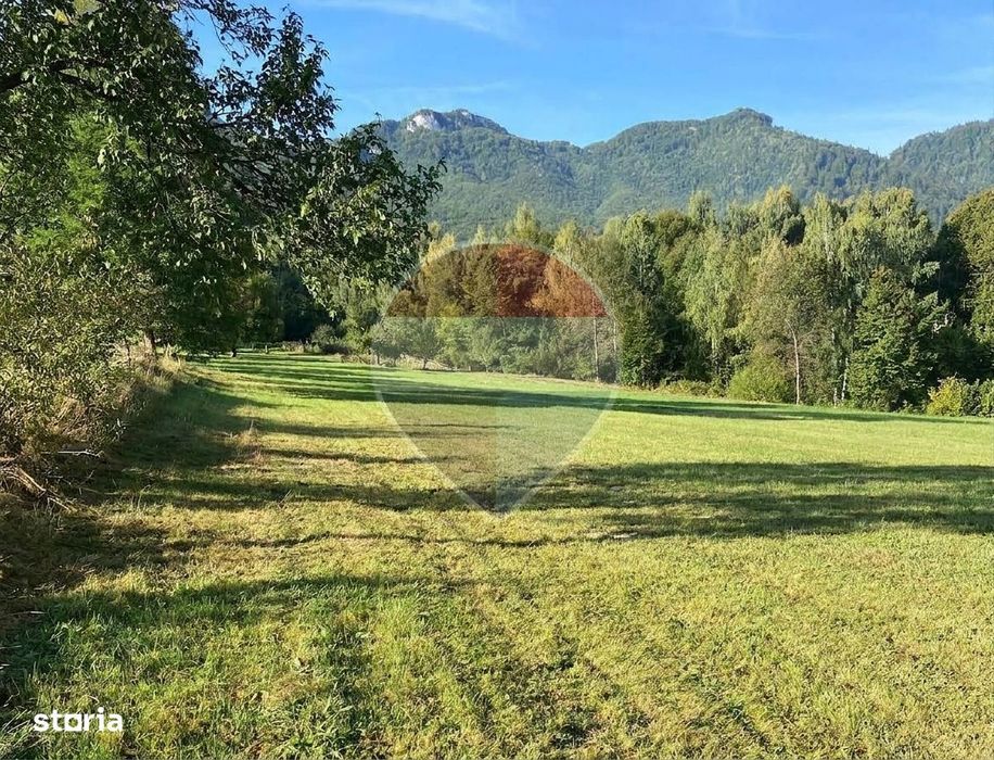 Teren 1,500mp Zarnesti zona Tohanita, priveliste deosebita, intre case