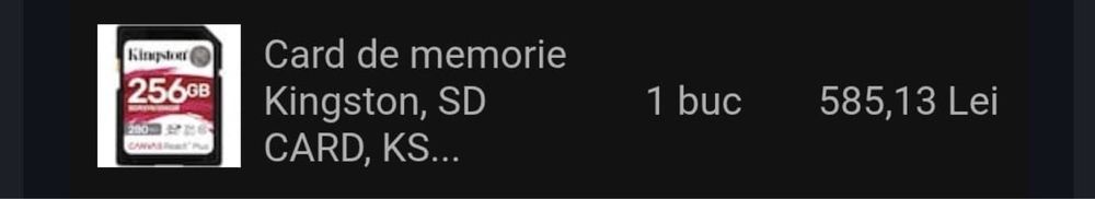 Card SD Kingston 256GB (NOU)