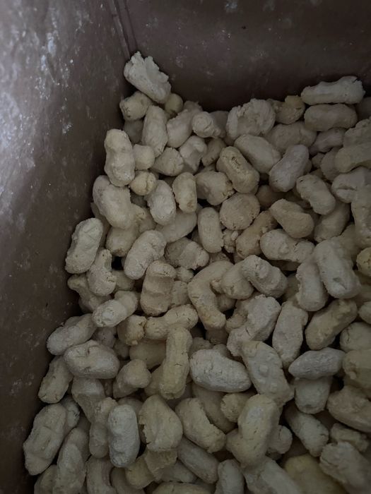 Қымыз шұбат құрт