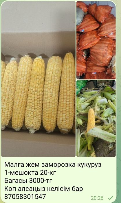 Малға жем корм..