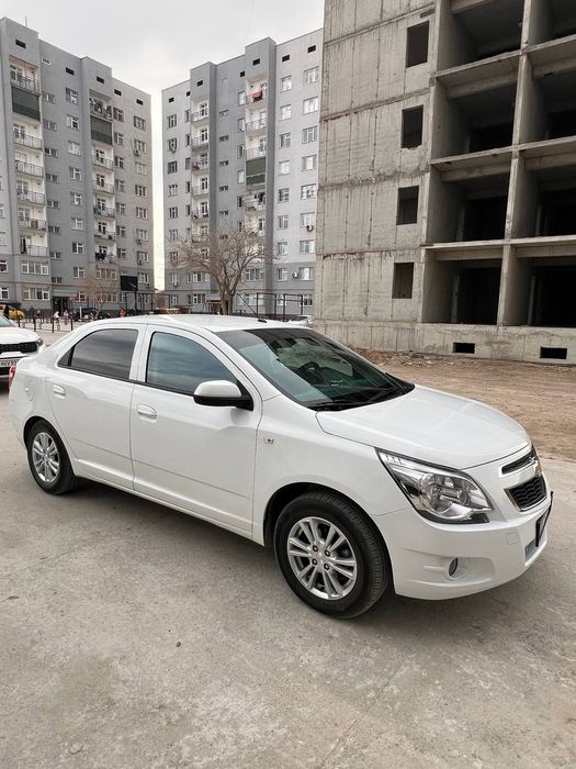 Other Cobalt 2025 — 7