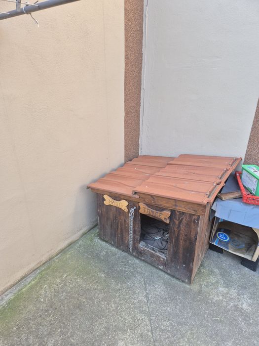 Căsuța pentru caine de talie mica.