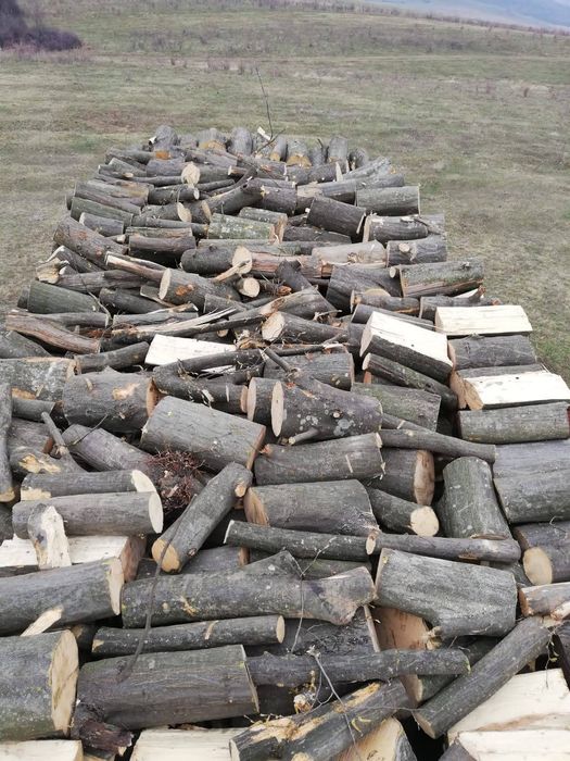 Lemn pentru foc(Carpen,Fag,Salcam)