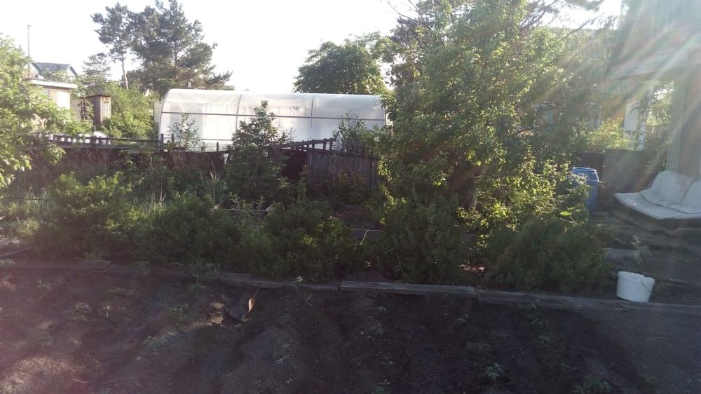 Дача, район федоровского водохранилища