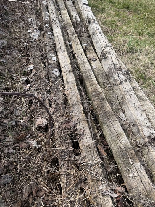 Vand lemne foc, stejar si brad