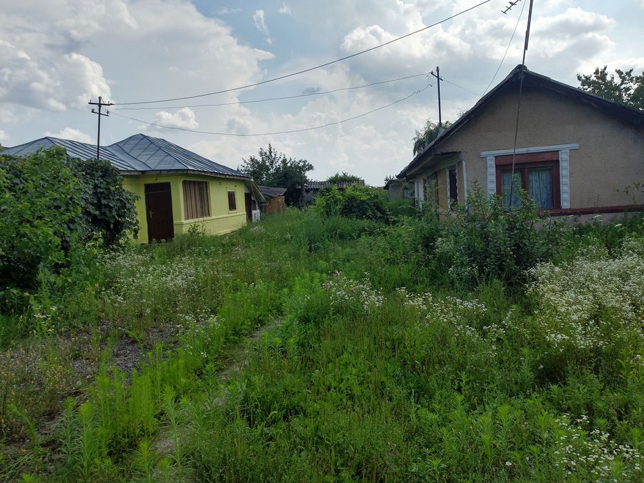 Vînzare teren ,2500 de metri pătrați