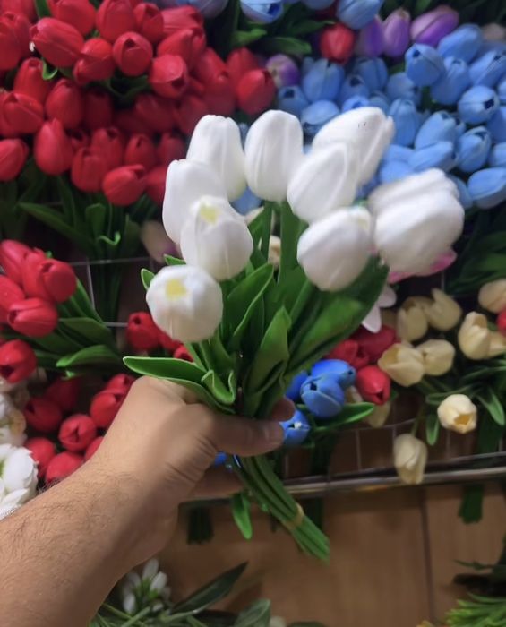 Лолалар 10та почкасида