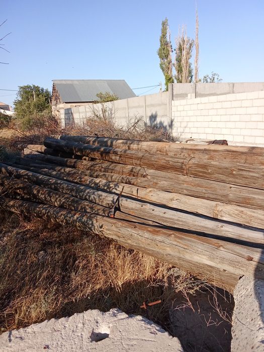 Балкы сатылады жақсы