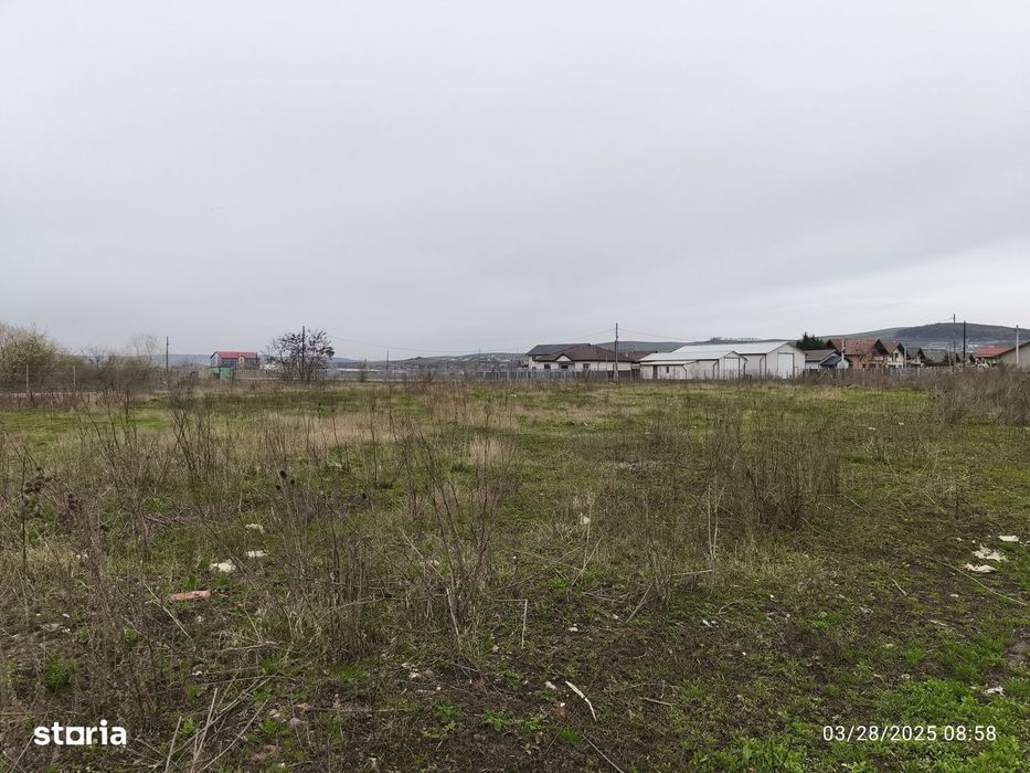 Teren drept  19059 mp - toate utilitățile - asfalt - Sancrai