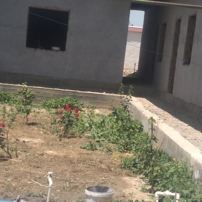 ховли сотилади жиззах шахрида