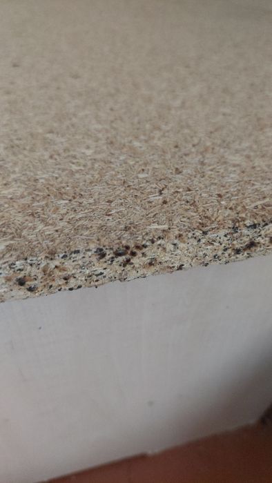 Дезинфекция. Клопы тараканы