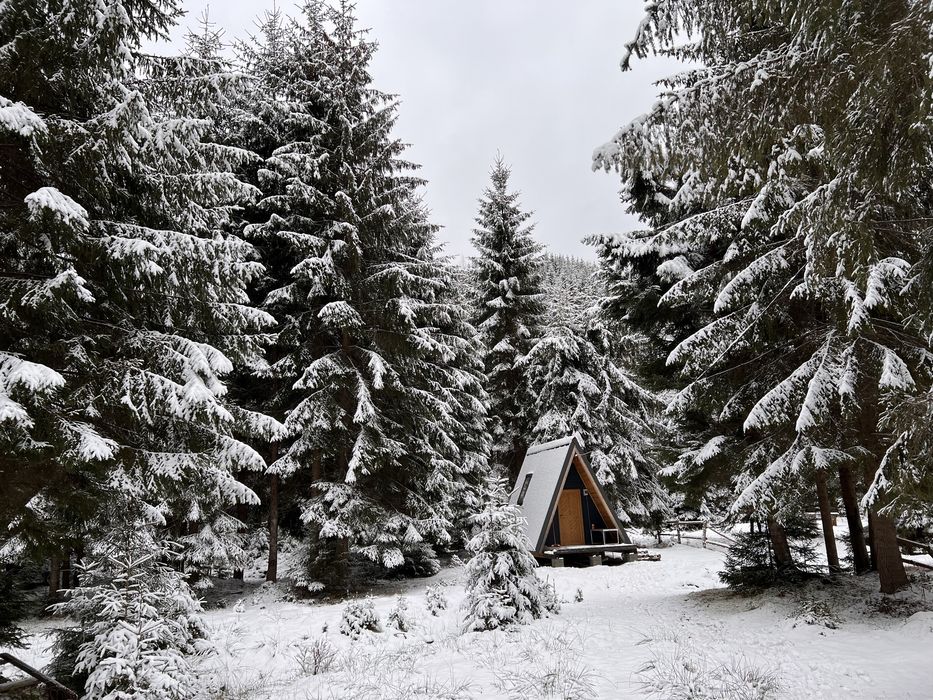 Teren de vânzare cu căsuță A-frame in Valea Ierii