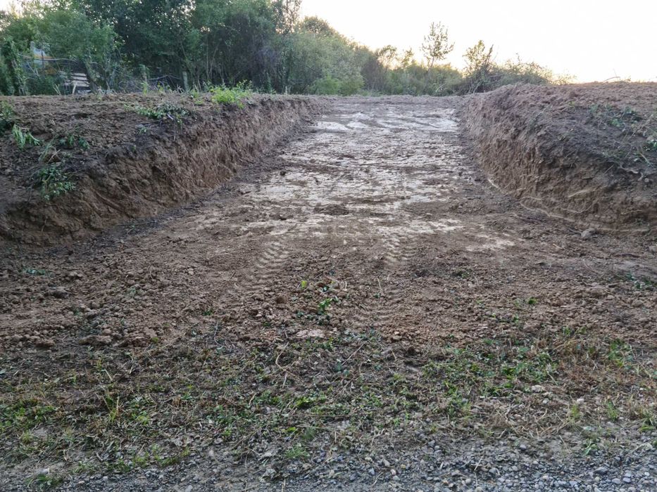 intravilan 10 si 12 ari viile satu mare