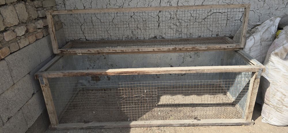 Куён ва товук катак