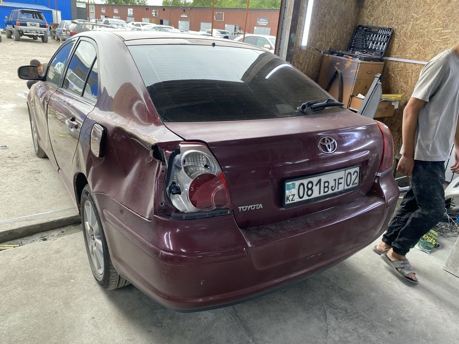 Костаправ Маляр Каскелен