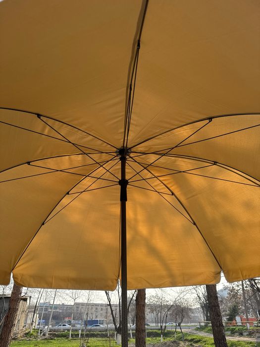 Bir ayoqliy zontiklar