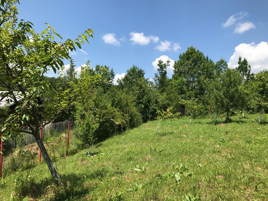 Teren intravilian Telega