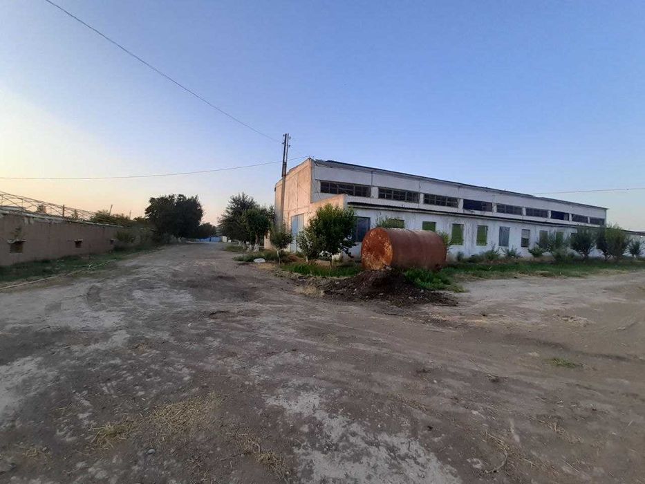 Тайёр ишлаб турган ишлаб чикариш. Бешкентда