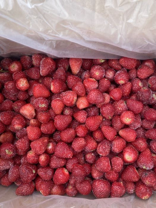 Ягода замороженная