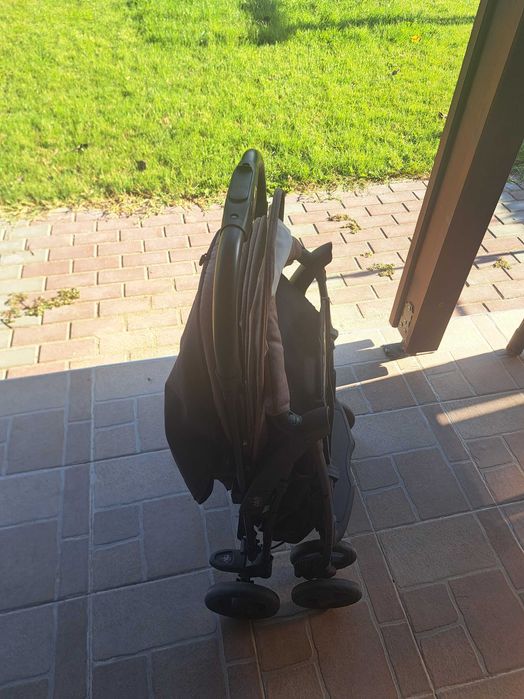 Лятна киличка  Can curvi