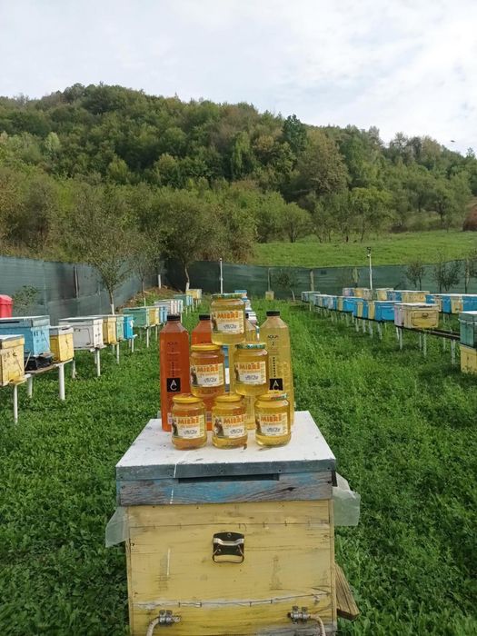 Miere de albine: Polifloră, Tei. Livrare la domiciliu!