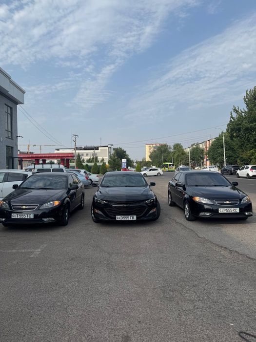 rentcar_baron 5.minutda ishiz xal dostavka bor