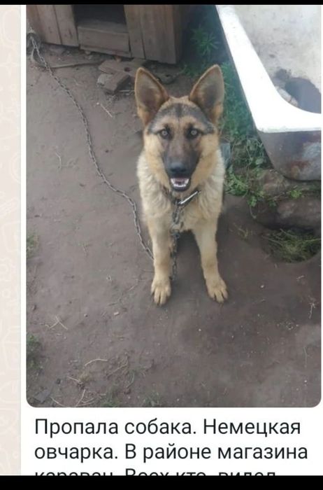 Помогите найти члена семьи!!!