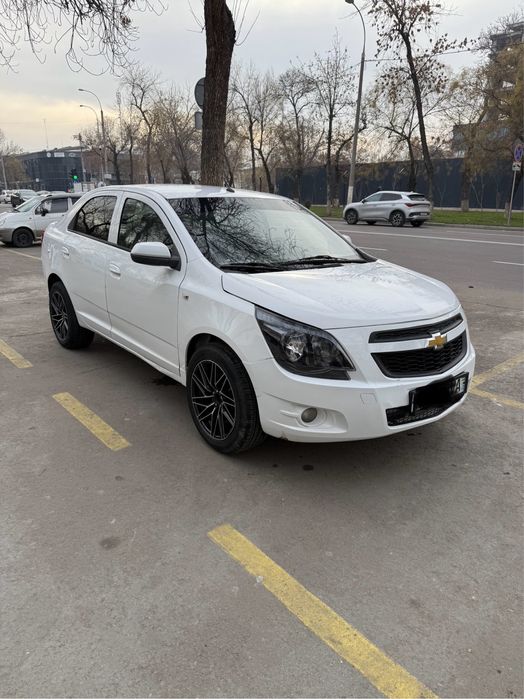 Cobalt MT 2019y. Gazi bor