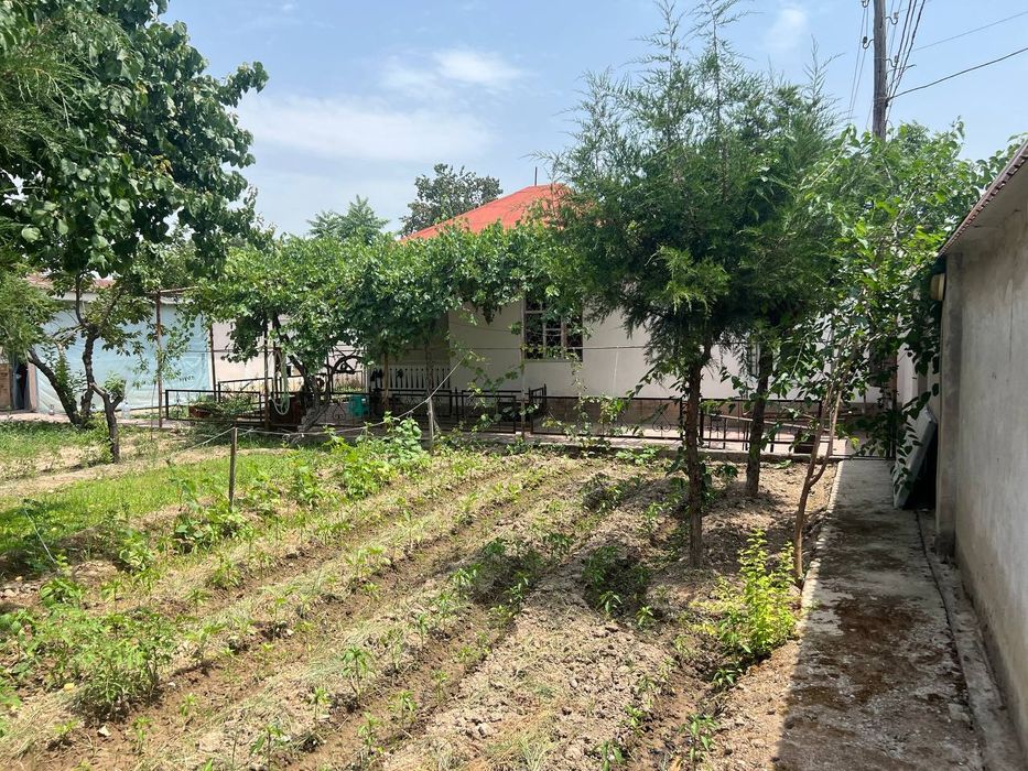 Uy Tuzel dacha Yangi O'zbekistonga yetmasdan
