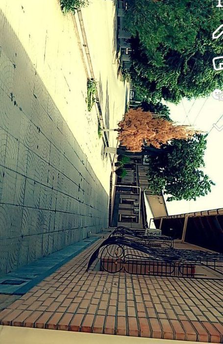 Tayyor xovli sotiladi