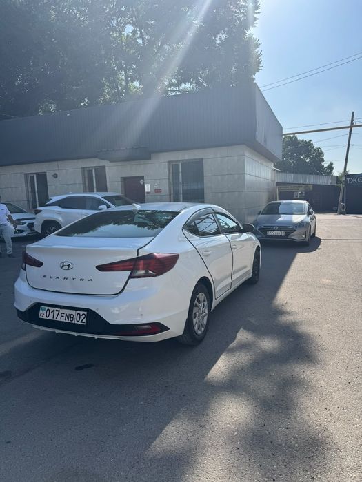 Сдается в аренду Hyundai Elantra