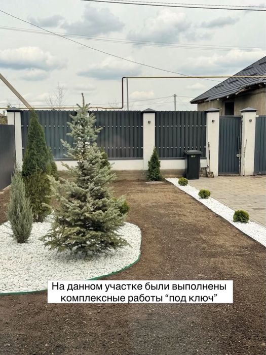 Рулонный газон под ключ