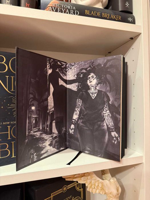 Book of Night-Holly Black -  луксозни  ексклузивни издания - НОВО