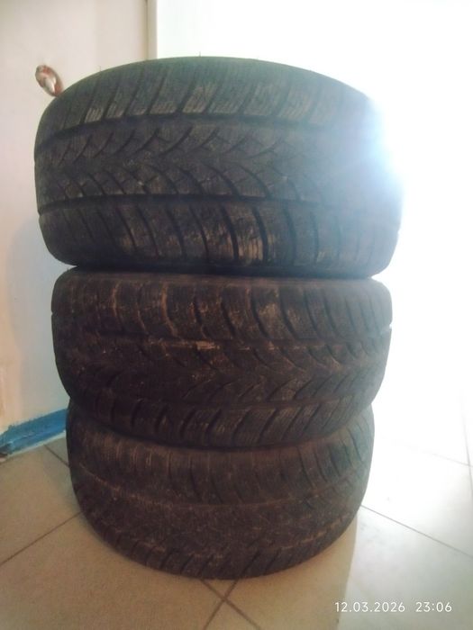 Зимние шины Triangle 225/55/R17