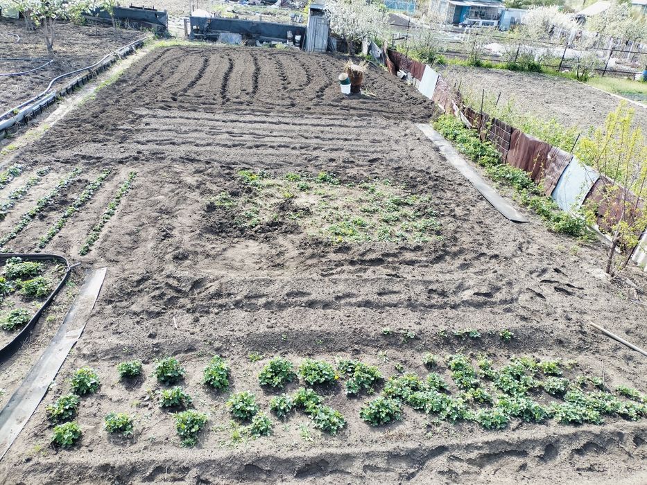 Продам дача сады 1 приватизированна