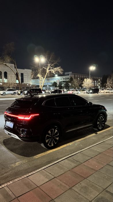 Byd champion 605 km full