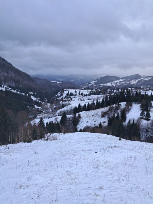 teren la munte Rucar-Moeciu-Bran