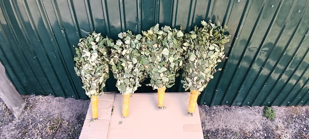 Продам берёзовые веники