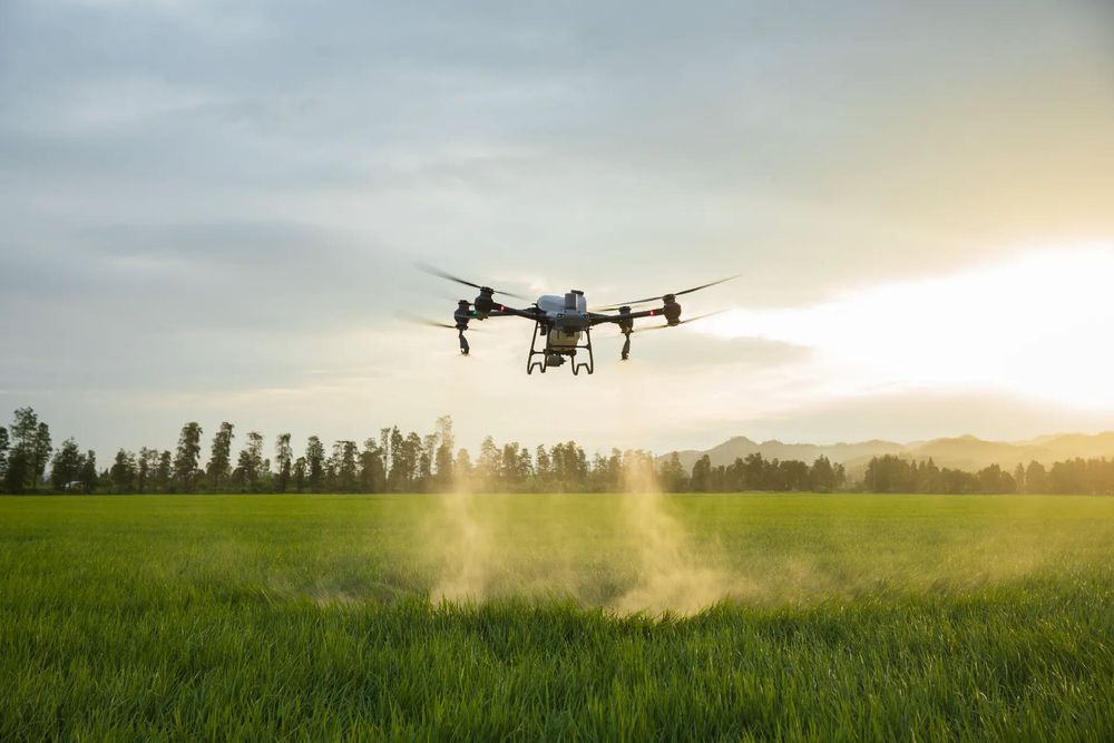 Prestări servicii cu dronă agricolă DJI Agras T50 | Stropiri si fertilizari culturi agricole