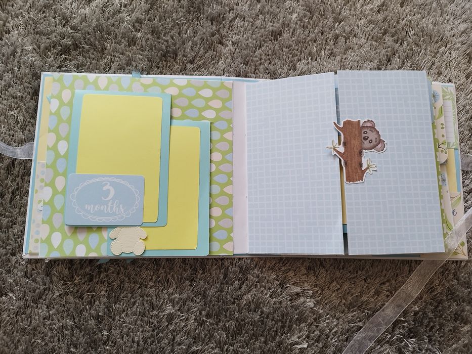 Бебешки албум за снимки