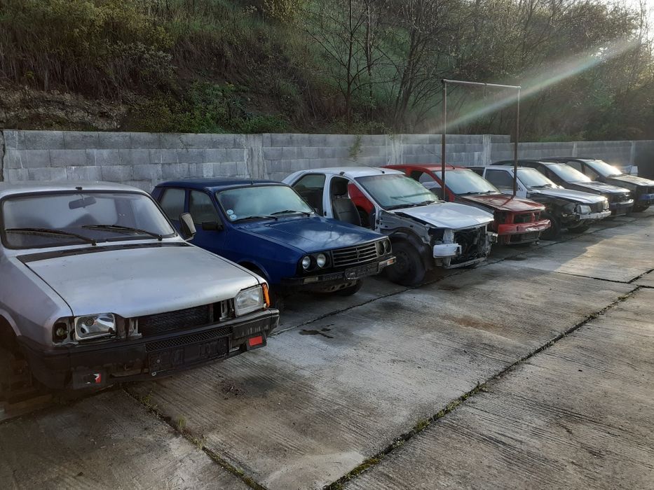 Piese din dezmembrări Dacia Logan Sandero Papuc Solenza 1300 1310
