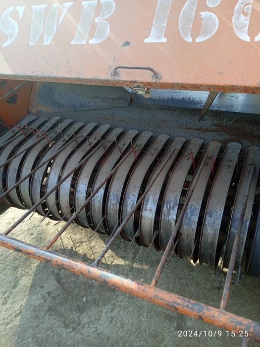 Piris afarati sotladi