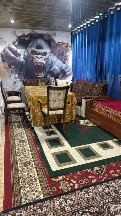 Dacha arenda bez zaks