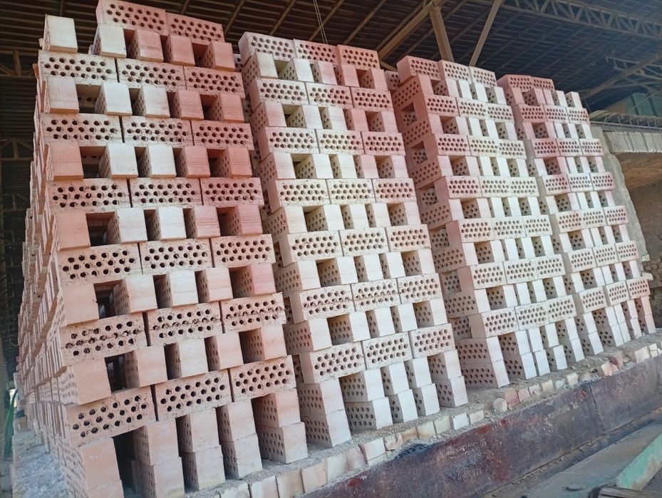 Pishgan va xom gisht