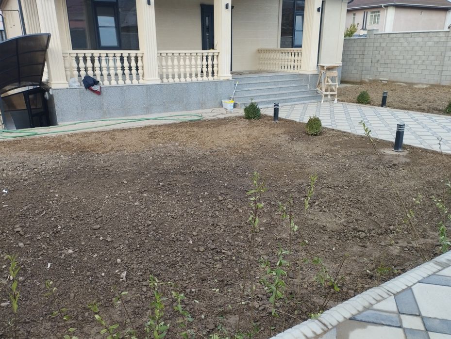 Сеем газон с гарантией