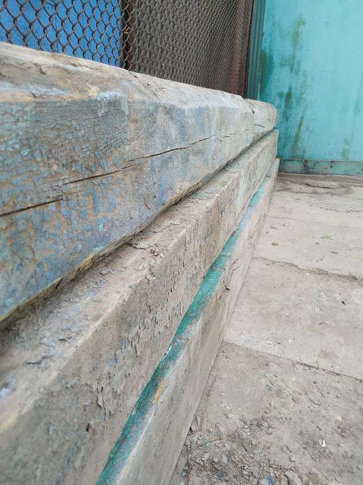 құрылысқа арналған ағаш, бревно для строительства,