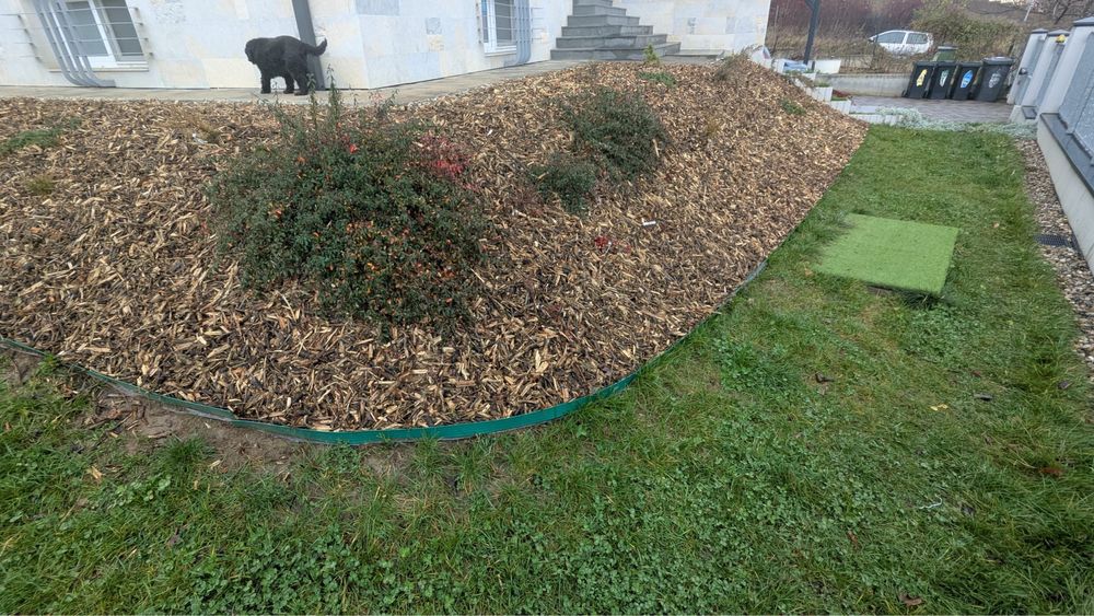 tocatura de crengi, mulci