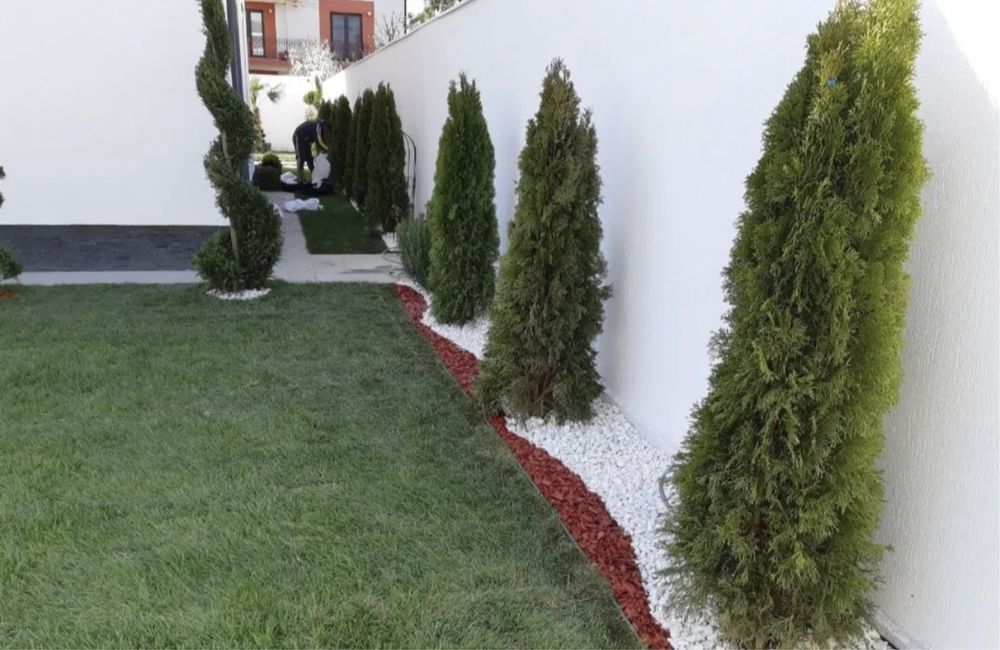 Amenajari si intretinere spatii verzi