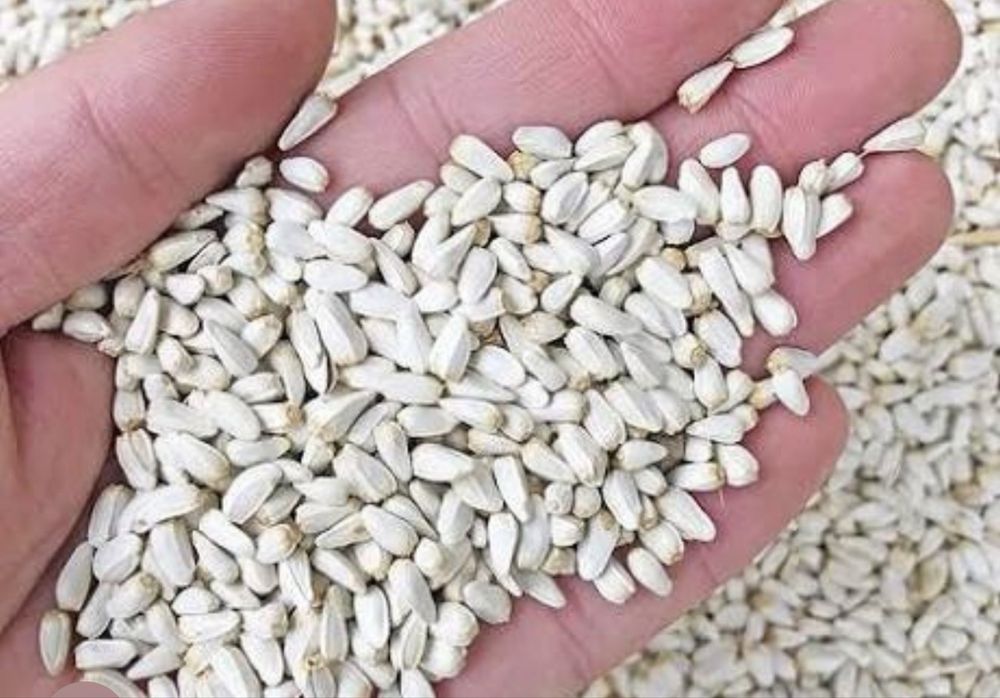 Сафлор мақсары качественный